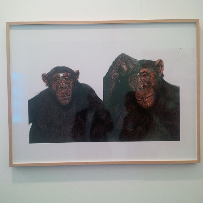 A Londra l’arte più cool. Affari alla Frieze Art Fair: il reportage A Londra l’arte più cool. Affari alla Frieze Art Fair: il reportage