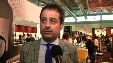 Introna: “Sfiducia assessore non contemplata. Per monotematica mancano requisiti”