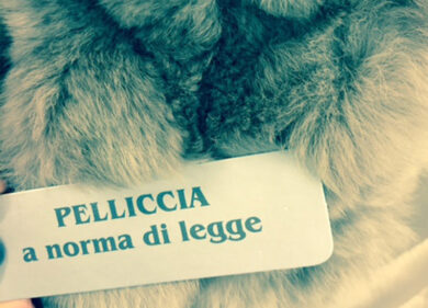 Pellicce fatte con cani e gatti. Ecco come riconoscerle (ed evitarle)
