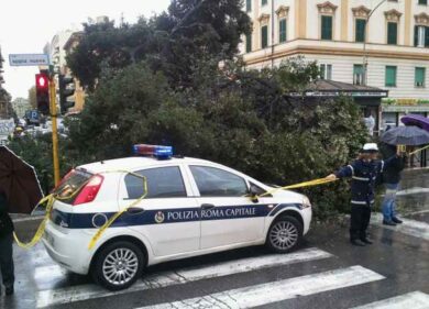 Piove, si schianta l’Alberone. Paura Tevere, livello alto