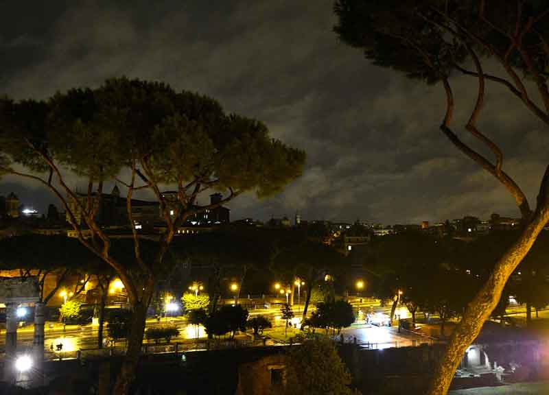 Piove, si schianta l’Alberone. Paura Tevere, livello alto