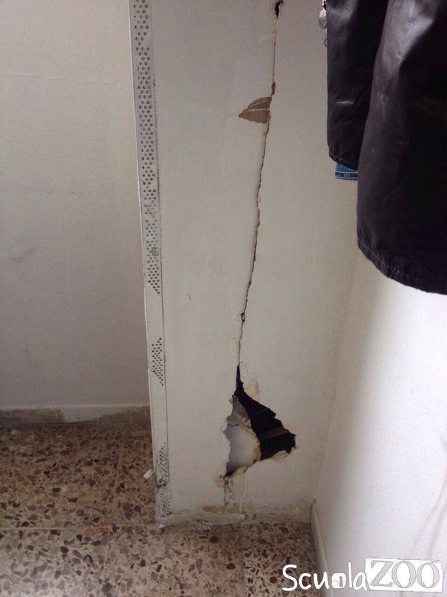 #ScuoleAPezzi: allarme topi all’IIS Majorana di Guidonia (Roma) #ScuoleAPezzi: allarme topi all’IIS Majorana di Guidonia (Roma)