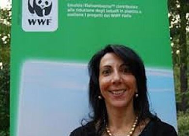 Consumo di suolo, il Wwf con la Regione: “Non è una legge ammazzasuolo”