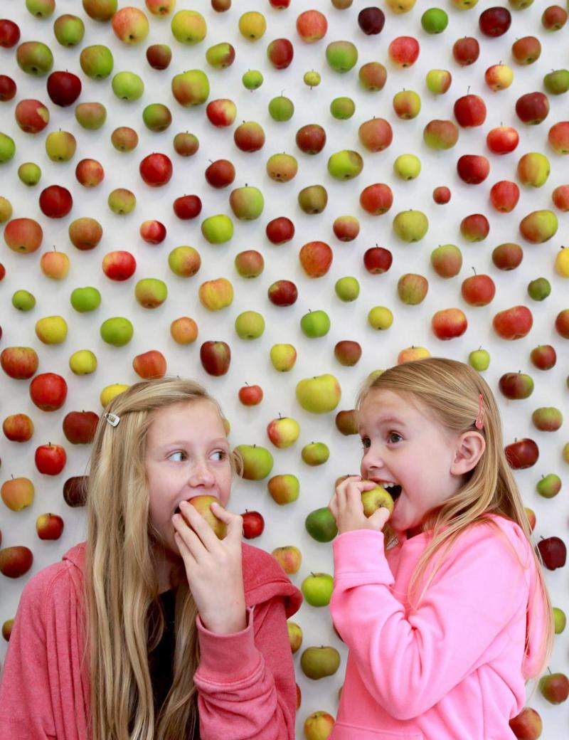 The Real Apple Store: mele in vendita al posto dei Mac