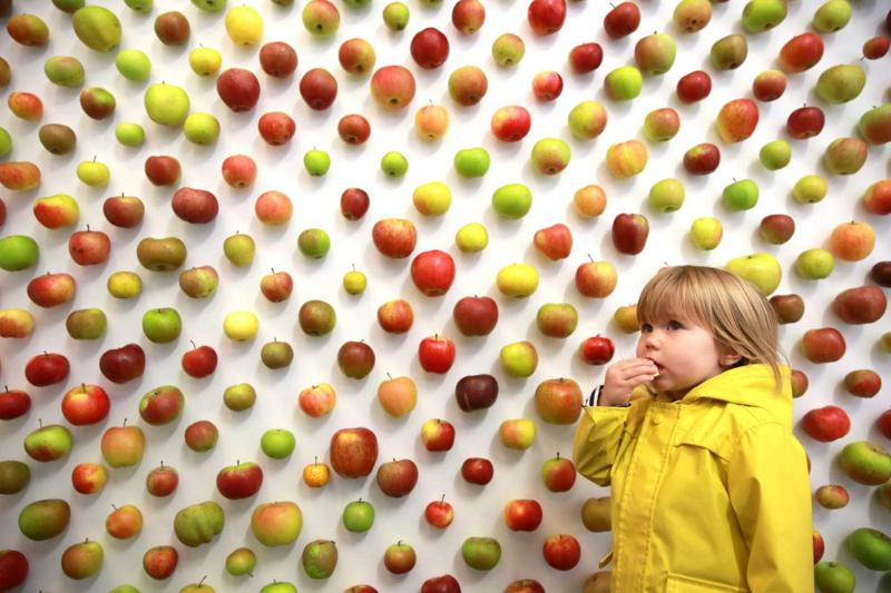 The Real Apple Store: mele in vendita al posto dei Mac