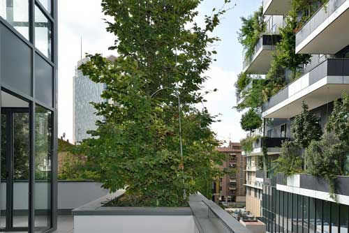 Il grattacielo più bello? Il milanese Bosco Verticale Il grattacielo più bello? Il milanese Bosco Verticale