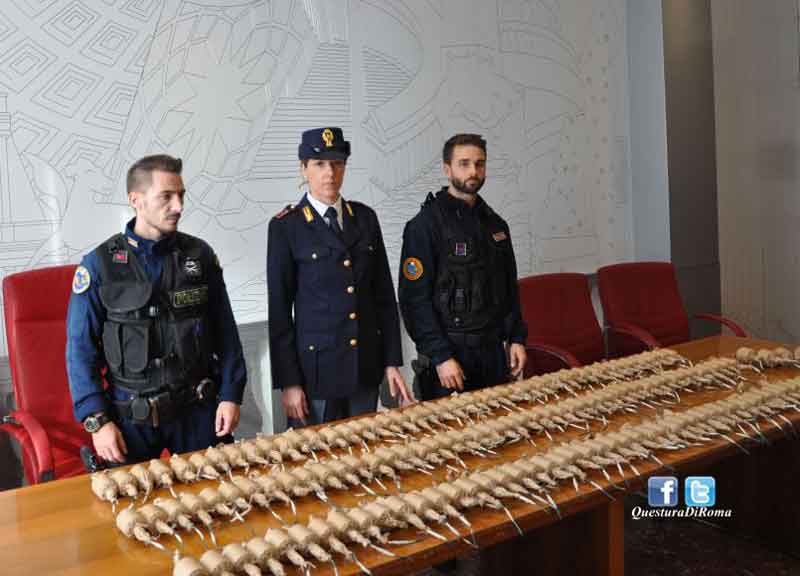Scacco alla santabarbara degli ultras. All’Olimpico scovate 143 bombe carta Scacco alla santabarbara degli ultras. All’Olimpico scovate 143 bombe carta
