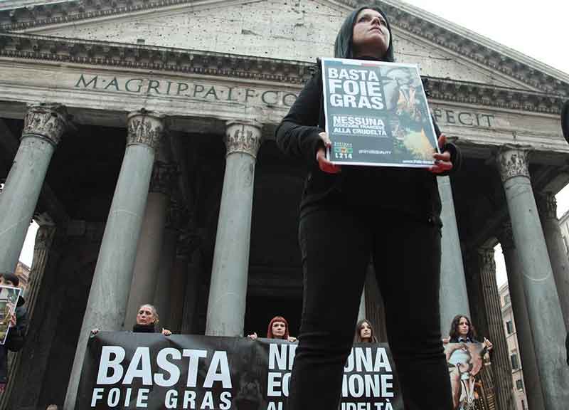 Tutti contro il foie gras. No alla tortura delle oche Tutti contro il foie gras. No alla tortura delle oche