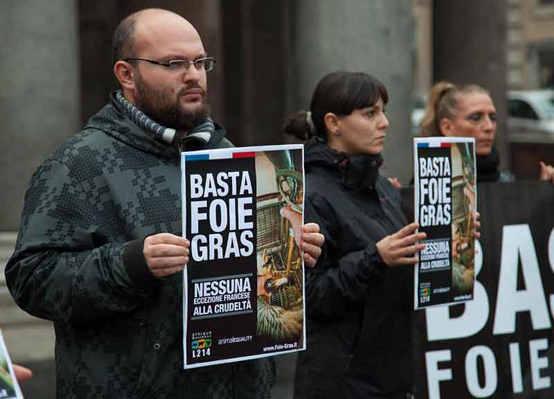 Tutti contro il foie gras. No alla tortura delle oche Tutti contro il foie gras. No alla tortura delle oche