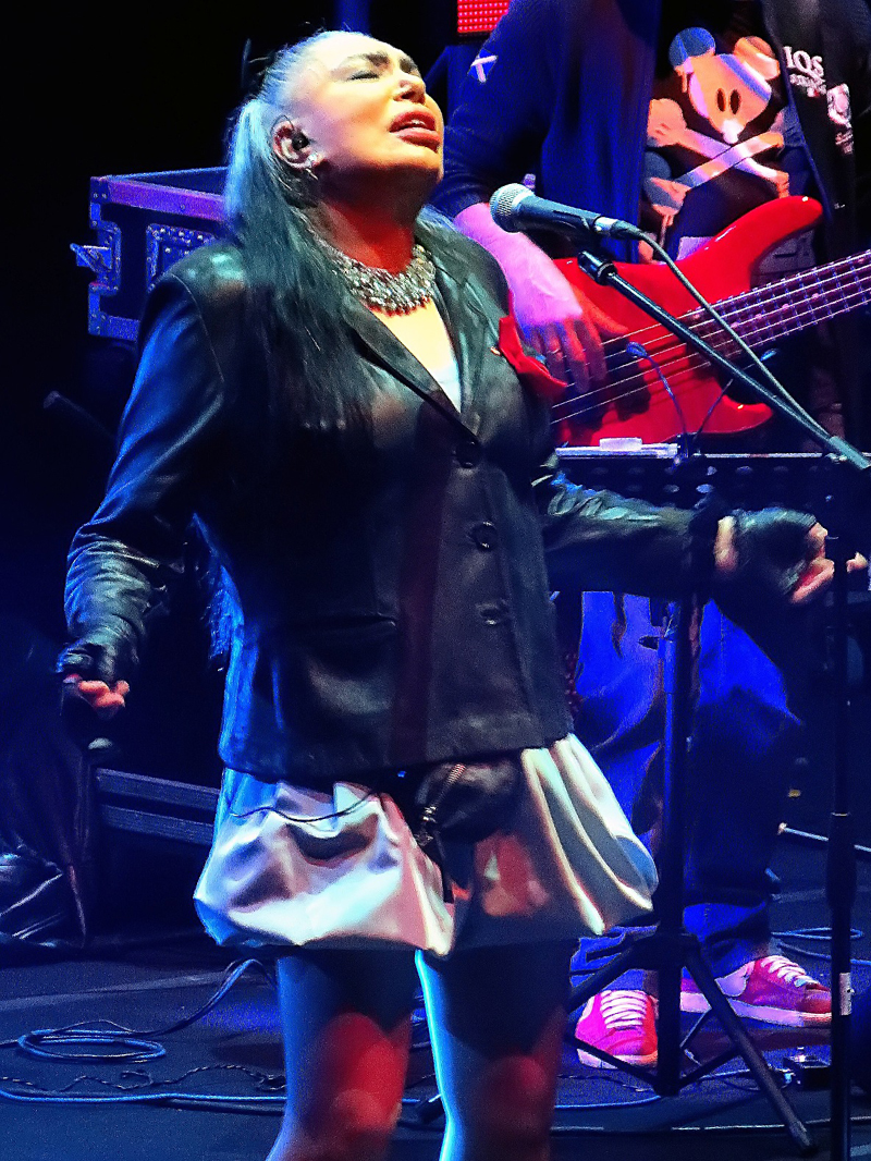 Loredana Berté torna a Milano con “Bandaberte’ ‘1974-2014’ tour” Loredana Berté torna a Milano con “Bandaberte’ ‘1974-2014’ tour”