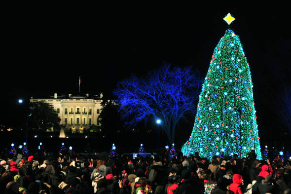 I 10 alberi di Natale più belli del mondo I 10 alberi di Natale più belli del mondo