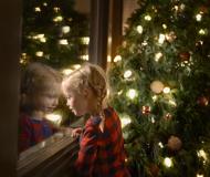 Il muschio e il Bambinello