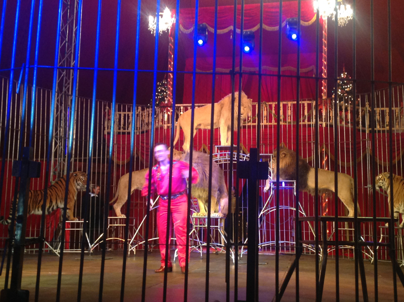 Per le feste, la magia del Circo.Il ricordo di Nando Orfei e Fellini