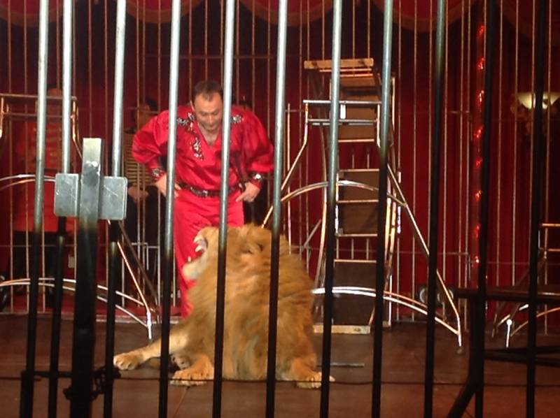 Per le feste, la magia del Circo.Il ricordo di Nando Orfei e Fellini