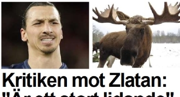 Ibrahimovic abbatte un alce da 500 chili con un solo colpo Ibrahimovic abbatte un alce da 500 chili con un solo colpo