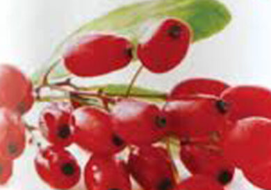 Contro l’invecchiamento tutti pazzi per le bacche di Goji