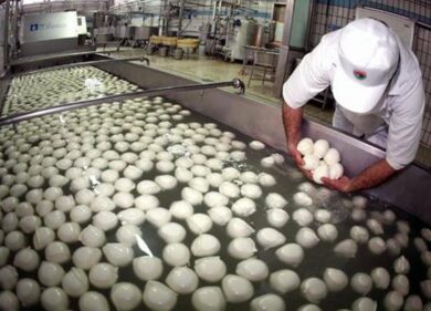 Produceva mozzarella senza usare latte: chiuso caseificio