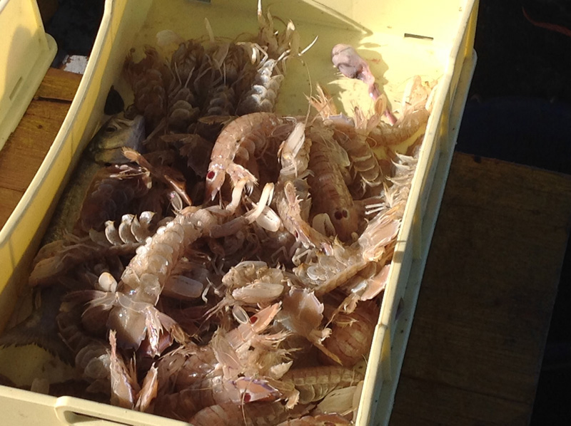 Rimini d’inverno. Tra “Amarcord” e cucina Rimini d’inverno. Tra “Amarcord” e cucina