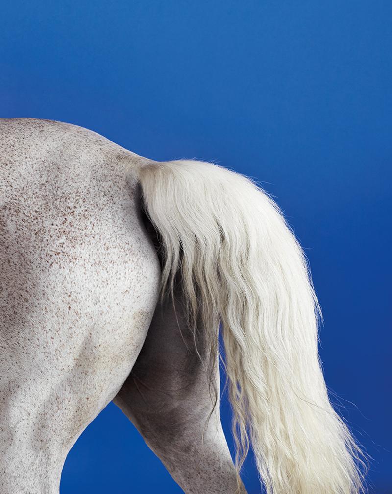 Aspettando Miart2015 ad aprile a Milano. Tutte le anticipazioni