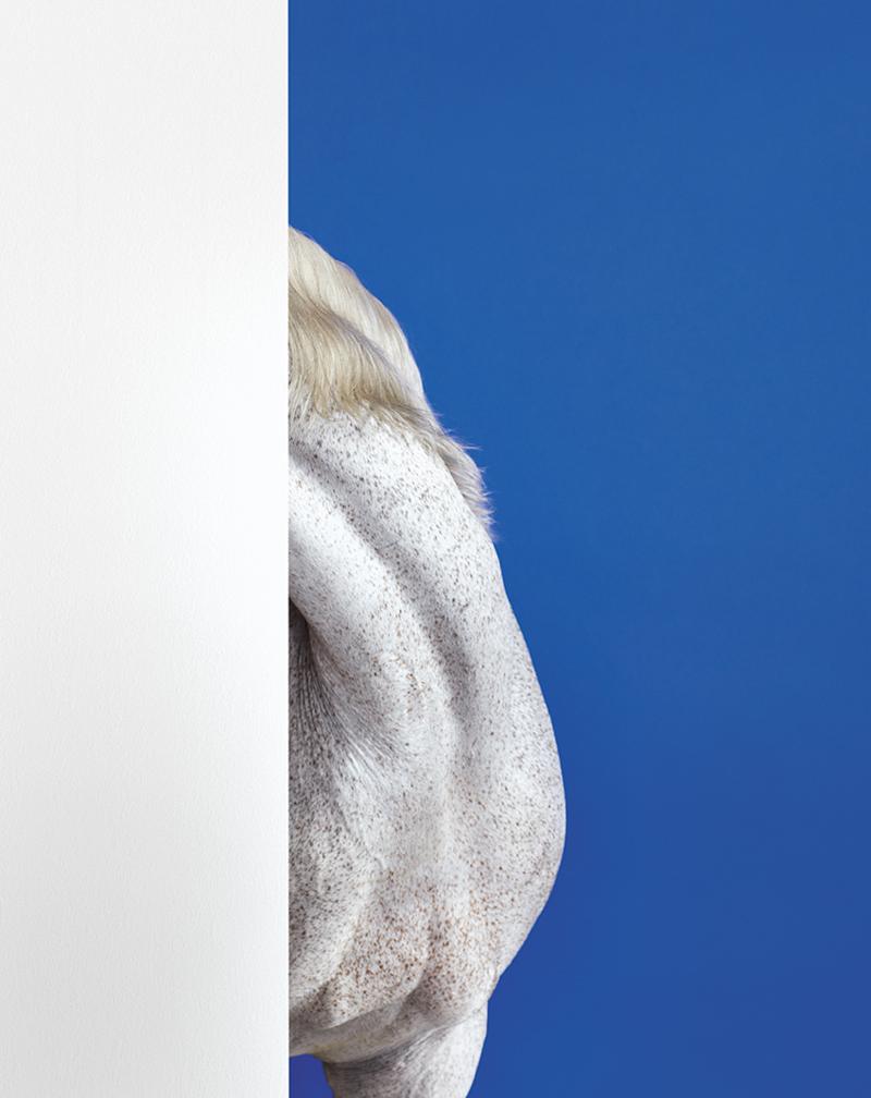 Aspettando Miart2015 ad aprile a Milano. Tutte le anticipazioni