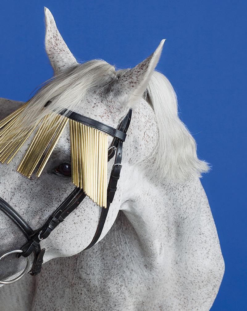 Aspettando Miart2015 ad aprile a Milano. Tutte le anticipazioni