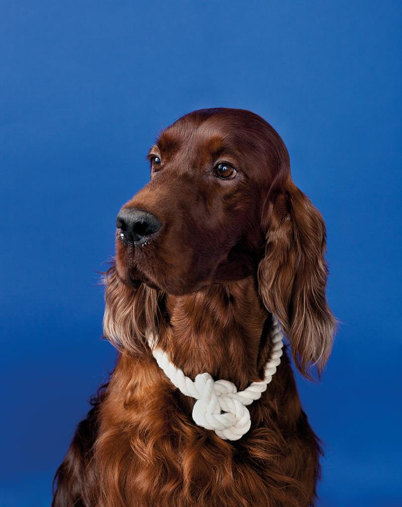 Aspettando Miart2015 ad aprile a Milano. Tutte le anticipazioni