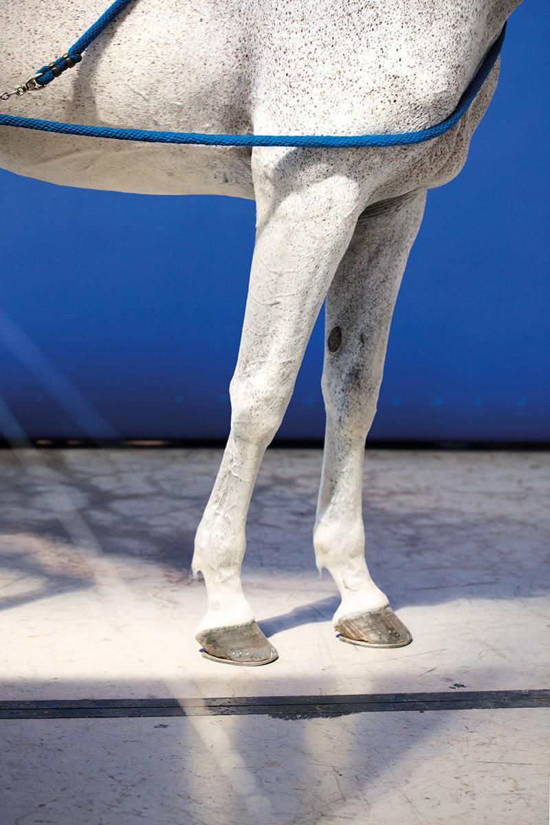 Aspettando Miart2015 ad aprile a Milano. Tutte le anticipazioni