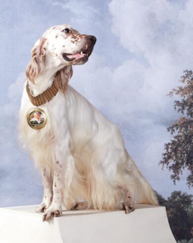 Aspettando Miart2015 ad aprile a Milano. Tutte le anticipazioni