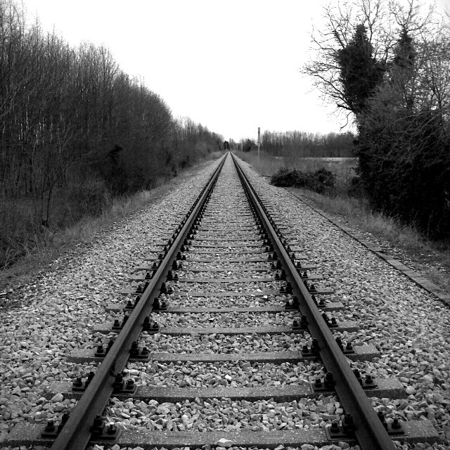 Torna la giornata Ferrovie Dimenticate Torna la giornata Ferrovie Dimenticate