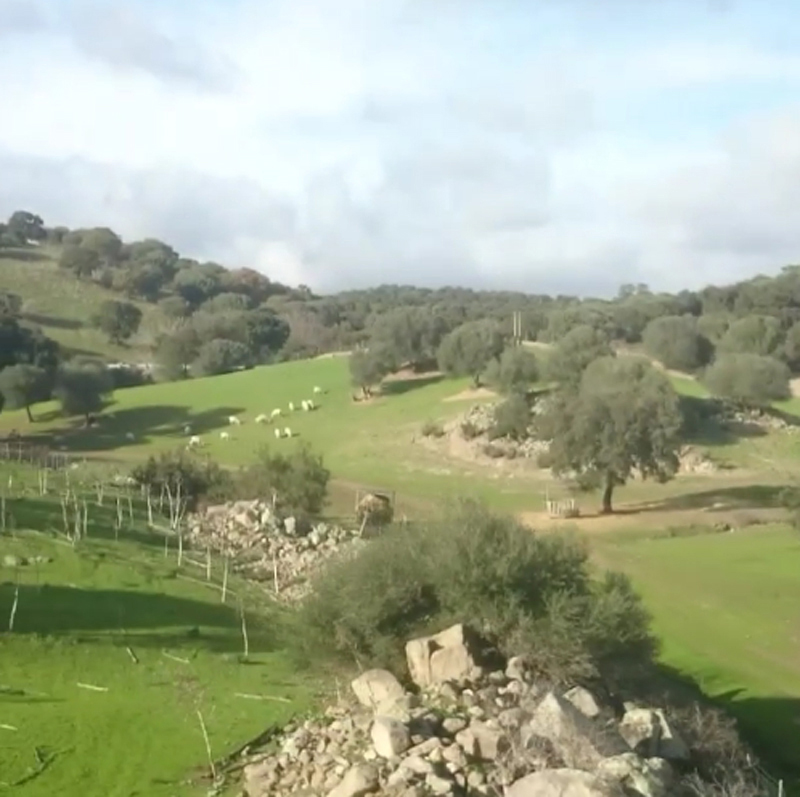 Torna la giornata Ferrovie Dimenticate Torna la giornata Ferrovie Dimenticate