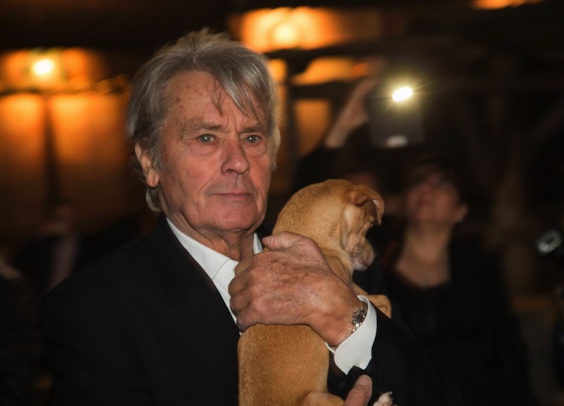 “Il mio nome per gonfiare i prezzi”. Alain Delon s’infuria con la casa d’aste “Il mio nome per gonfiare i prezzi”. Alain Delon s’infuria con la casa d’aste