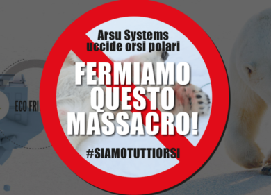 Arsu System, il finto massacro degli orsi diventa virale