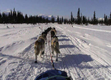 Tantissima Neve! Maltempo nel weekend con neve copiosa. Neve neve