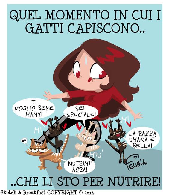 Il 17 febbraio è la Giornata mondiale del gatto Il 17 febbraio è la Giornata mondiale del gatto