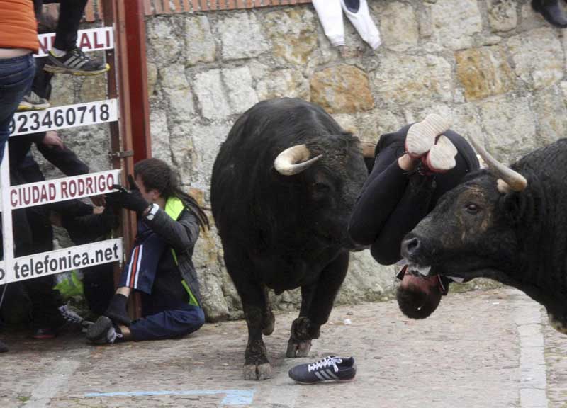 Spagna, incornato e trascinato dal toro: 20enne grave Spagna, incornato e trascinato dal toro: 20enne grave
