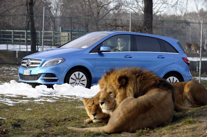 Mercedes-Benz: il lusso sta cambiando Mercedes-Benz: il lusso sta cambiando