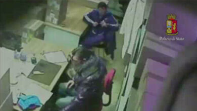 Foto organi (cuore, polmoni…) presi per studiare inquinamento su corpo. foto organi organi