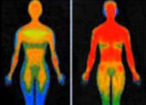 Organi strappati per studiare inquinamento su corpo. organi organi umani