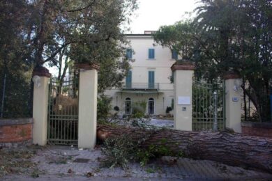 Maltempo, raffiche a 150 km/h: il vento fa tre morti. FOTO