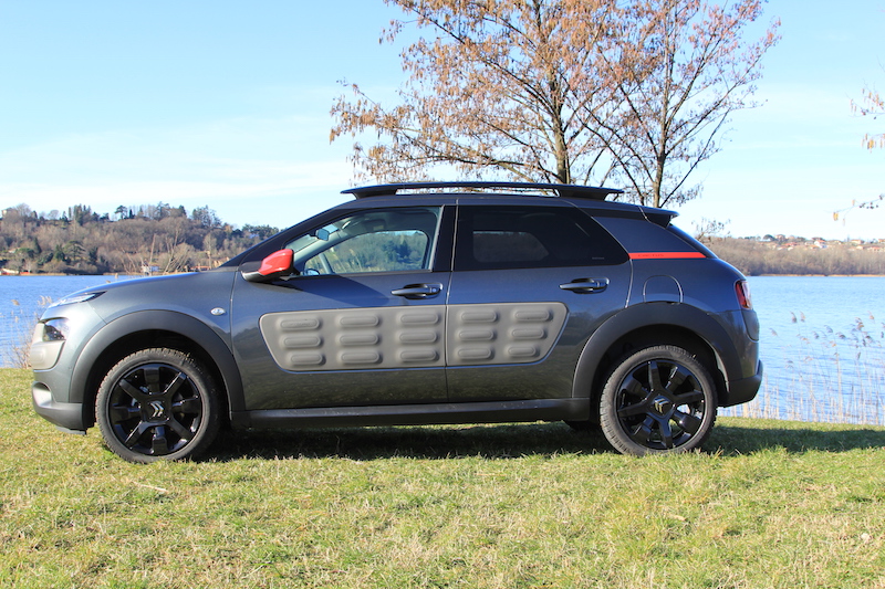 C4 Cactus: funzionale e alla moda C4 Cactus: funzionale e alla moda