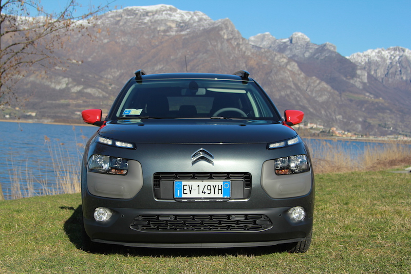 C4 Cactus: funzionale e alla moda C4 Cactus: funzionale e alla moda