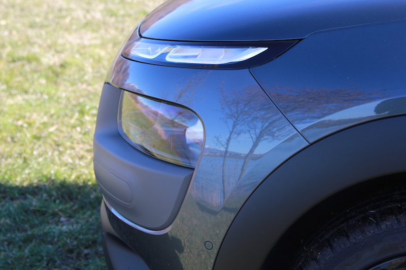 C4 Cactus: funzionale e alla moda C4 Cactus: funzionale e alla moda