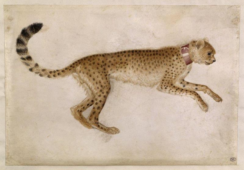 Mostre/ Due dinastie, una città: Milano al centro dell’Europa