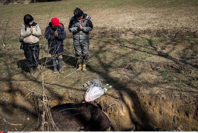 Fukushima, il bilancio di Greenpeace: 54mila siti e acque contaminati