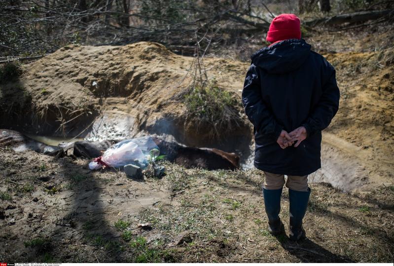 Fukushima, il bilancio di Greenpeace: 54mila siti e acque contaminati