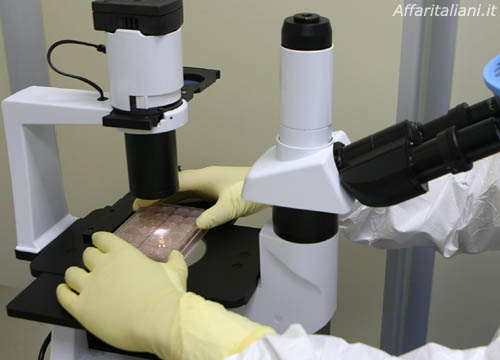 Chemioterapia e cancro, cuffia contro caduta dei capelli Chemioterapia e cancro, cuffia contro caduta dei capelli