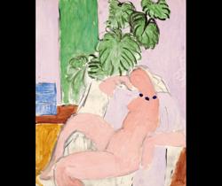 matisse (18)