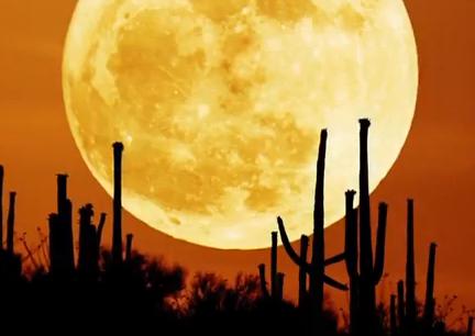 La Luna Ganimede nasconde un mega oceano