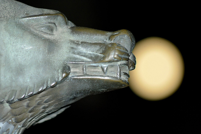 Eclissi, bacio sole-luna, ecco le foto dell’eclissi!