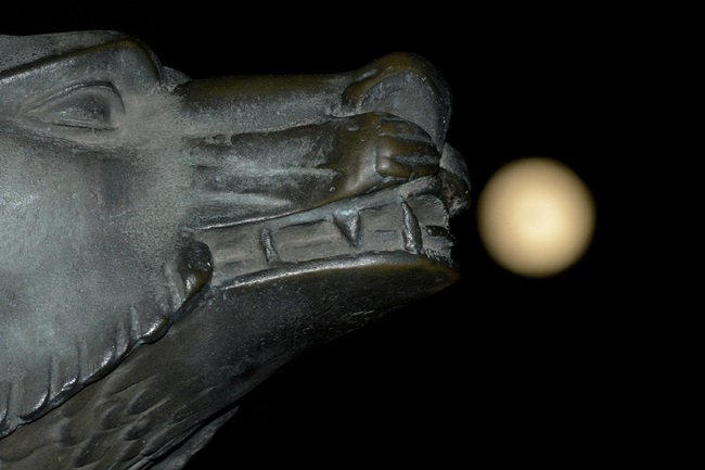 Eclissi, le foto del bacio tra il sole e la luna Eclissi, le foto del bacio tra il sole e la luna